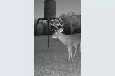 4025 County Road 175, Stephenville, TX 76401 - Photo 14