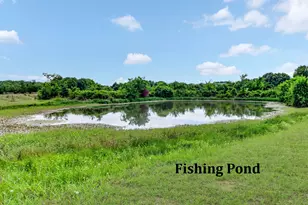 829 Poppie Ln, Midlothian, TX 76065 - Photo 38