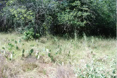 1306 Overlook Drive, Whitney, TX 76692 - Photo 6
