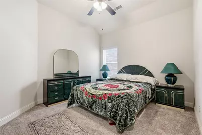 300 Daylily Drive, Wylie, TX 75098 - Photo 24