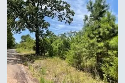 [Address not provided], Pittsburg, TX 75686 - Photo 2