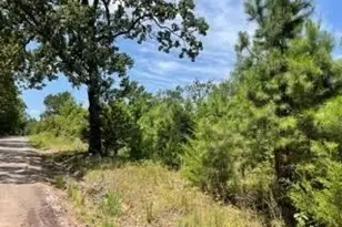 [Address not provided], Pittsburg, TX 75686 - Photo 1