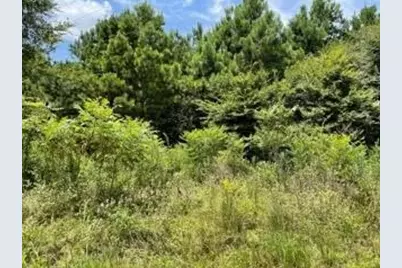Lot 10 Fm 556, Pittsburg, TX 75686 - Photo 1