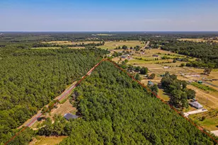 Lot 11 Fm 556, Pittsburg, TX 75686 - Photo 1