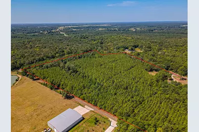 Lot 11 Fm 556, Pittsburg, TX 75686 - Photo 2