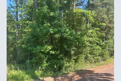 1210 San Saba, Bullard, TX 75757 - Photo 2