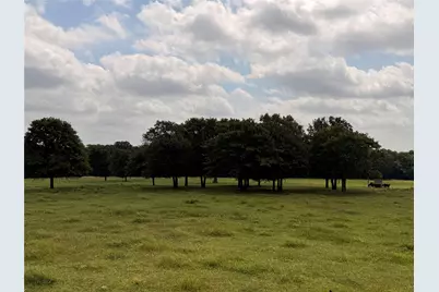 4709 Fm 2383, Whitesboro, TX 76273 - Photo 38