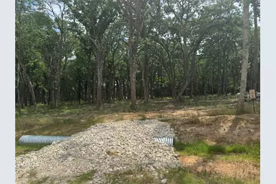 1216 Buck Trail, Pottsboro, TX 75076 - Photo 10