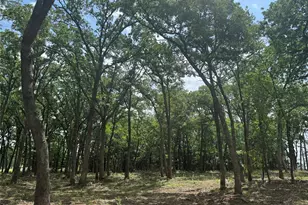 1216 Buck Trail, Pottsboro, TX 75076 - Photo 1