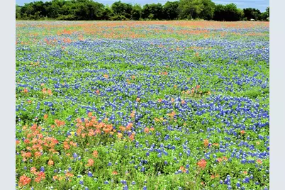 Lot 2 Private Road 425, Hillsboro, TX 76645 - Photo 22