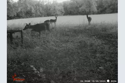 Tbd 55.644 Acres County Road 1807, Yantis, TX 75497 - Photo 22
