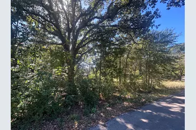 00 Bluebonnet Drive, Gun Barrel City, TX 75156 - Photo 2
