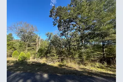 58 Point Lavista, Malakoff, TX 75148 - Photo 8