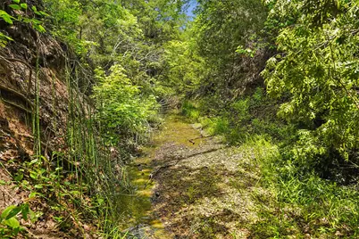 Tbd School House Road, Forestburg, TX 76239 - Photo 18