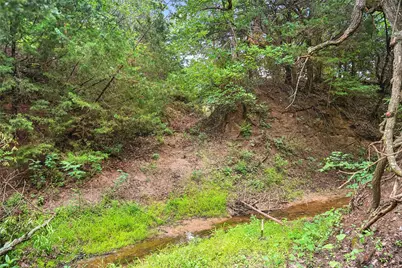 Tbd School House Road, Forestburg, TX 76239 - Photo 22