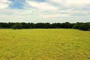 3341 Fm 639, Frost, TX 76641 - Photo 1