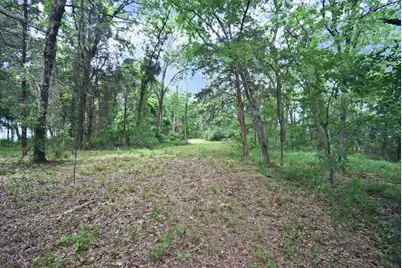 Lot 11 Bois D, Yantis, TX 75497 - Photo 6