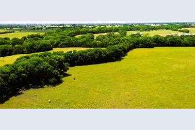 8560 County Road 513, Anna, TX 75409 - Photo 36