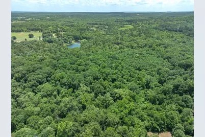 Tbd Vz County Road 4909, Ben Wheeler, TX 75754 - Photo 8