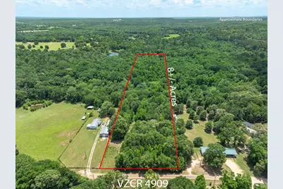 Tbd Vz County Road 4909, Ben Wheeler, TX 75754 - Photo 2