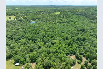 Tbd Vz County Road 4909, Ben Wheeler, TX 75754 - Photo 4