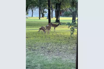 2719 Fm 708, Clifton, TX 76634 - Photo 1