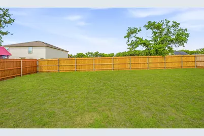 248 Peace Lily Way, Tolar, TX 76476 - Photo 24