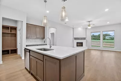 321 Skeen Peak, Springtown, TX 76082 - Photo 8
