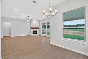321 Skeen Peak, Springtown, TX 76082 - Photo 16