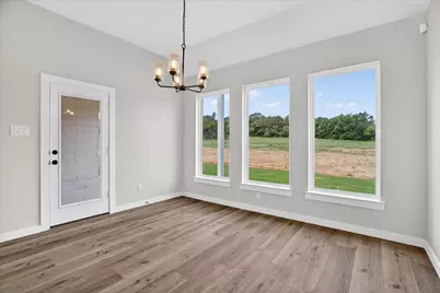 317 Skeen Peak, Springtown, TX 76082 - Photo 8