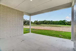 317 Skeen Peak, Springtown, TX 76082 - Photo 28