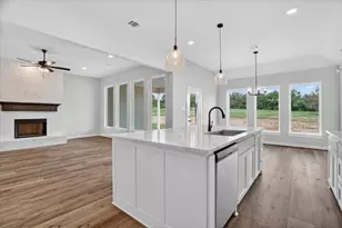 317 Skeen Peak, Springtown, TX 76082 - Photo 6