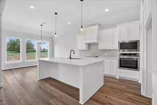 317 Skeen Peak, Springtown, TX 76082 - Photo 4