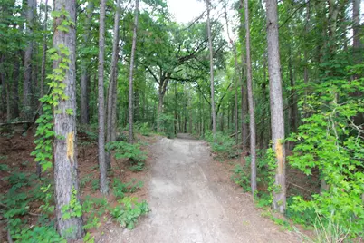 Tract 53.1 Hwy 31, Tyler, TX 75705 - Photo 4
