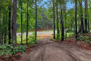 Tract 53 1 Hwy 31, Tyler, TX 75705 - Photo 1