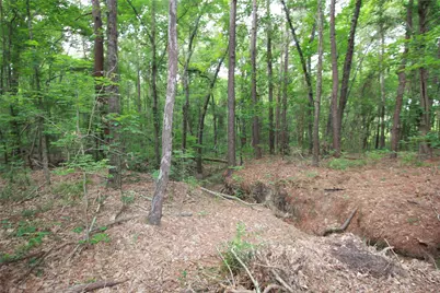 Tract 53.1 Hwy 31, Tyler, TX 75705 - Photo 10