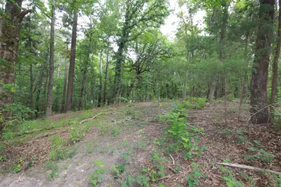 Tract 53.1 Hwy 31, Tyler, TX 75705 - Photo 8