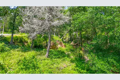 Lot 141 Shenandoah Drive, Streetman, TX 75859 - Photo 4