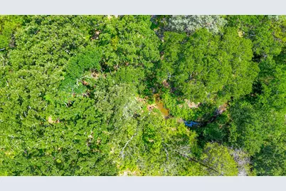 Lot 141 Shenandoah Drive, Streetman, TX 75859 - Photo 16