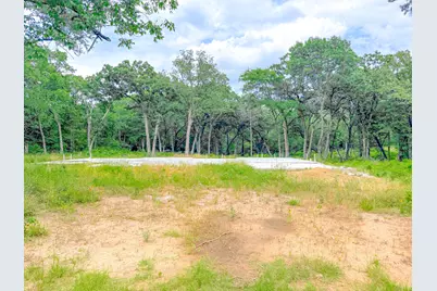 Lot 140 Shenandoah Drive, Streetman, TX 75859 - Photo 6