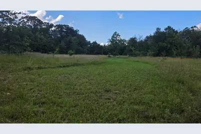 108 County Road 1102, Streetman, TX 75859 - Photo 34