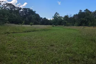108 Co Rd 1102, Streetman, TX 75859 - Photo 34