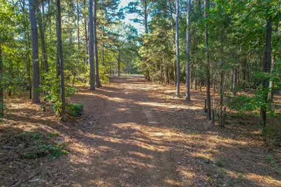 7821 Cr 3409, Chandler, TX 75758 - Photo 1
