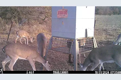 11020 Hwy 281, Whitt, TX 76490 - Photo 20