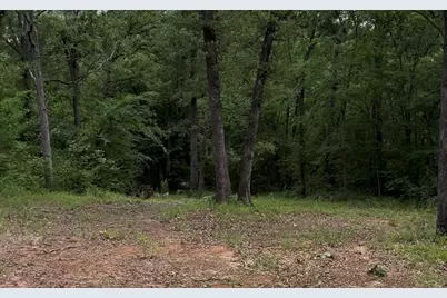 County Road 1805, Grand Saline, TX 75140 - Photo 2
