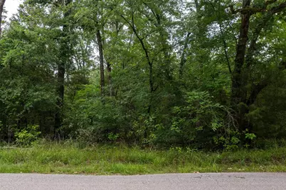 0 Oakwood Drive, Trinidad, TX 75163 - Photo 10