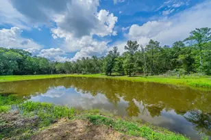 7451 Co Rd 1509, Athens, TX 75751 - Photo 26
