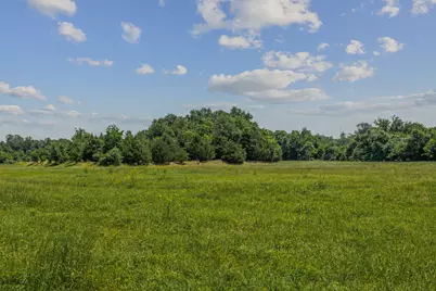 10398 Fm 429, Kaufman, TX 75142 - Photo 4