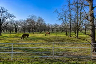 168 Country Dr, Waco, TX 76705 - Photo 6