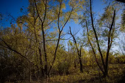 Tract 3 Fm 677, Saint Jo, TX 76265 - Photo 28